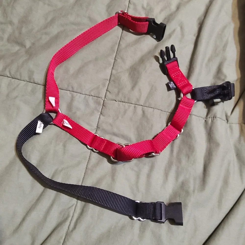 PetSafe easy walk
